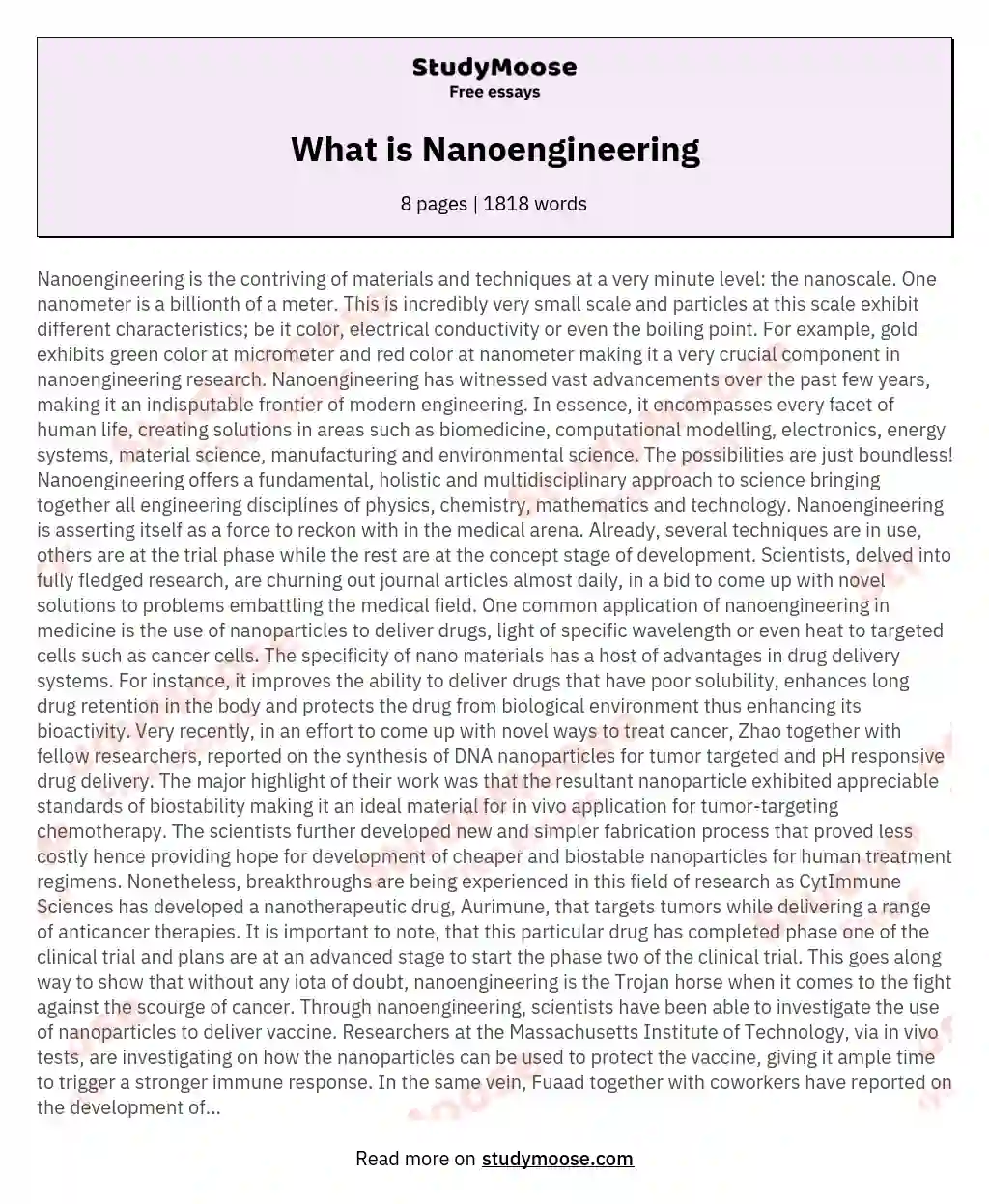 What is Nanoengineering essay