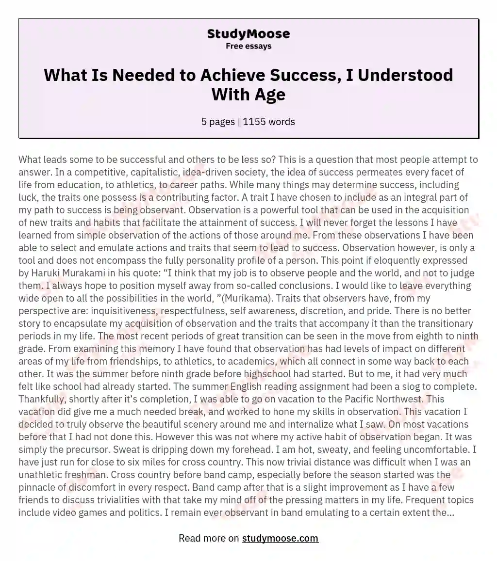 What Is Needed to Achieve Success, I Understood With Age