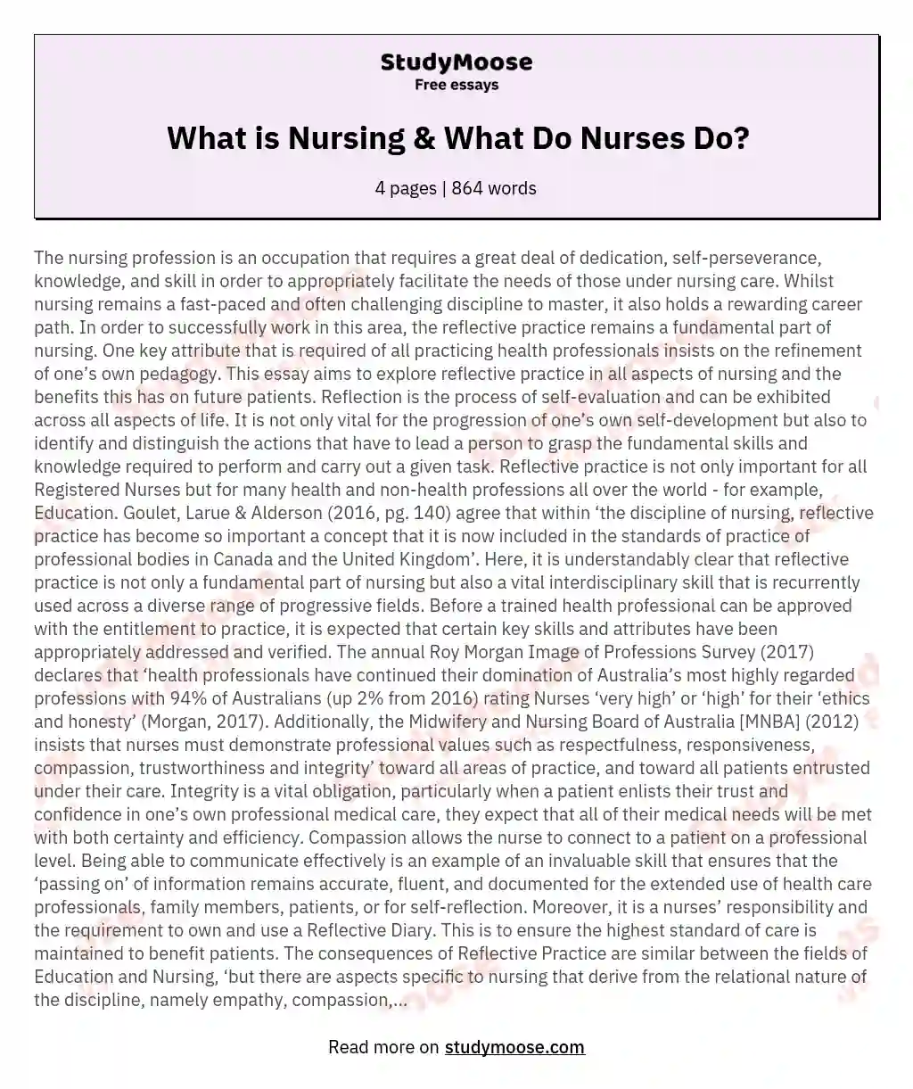 What is Nursing & What Do Nurses Do? essay