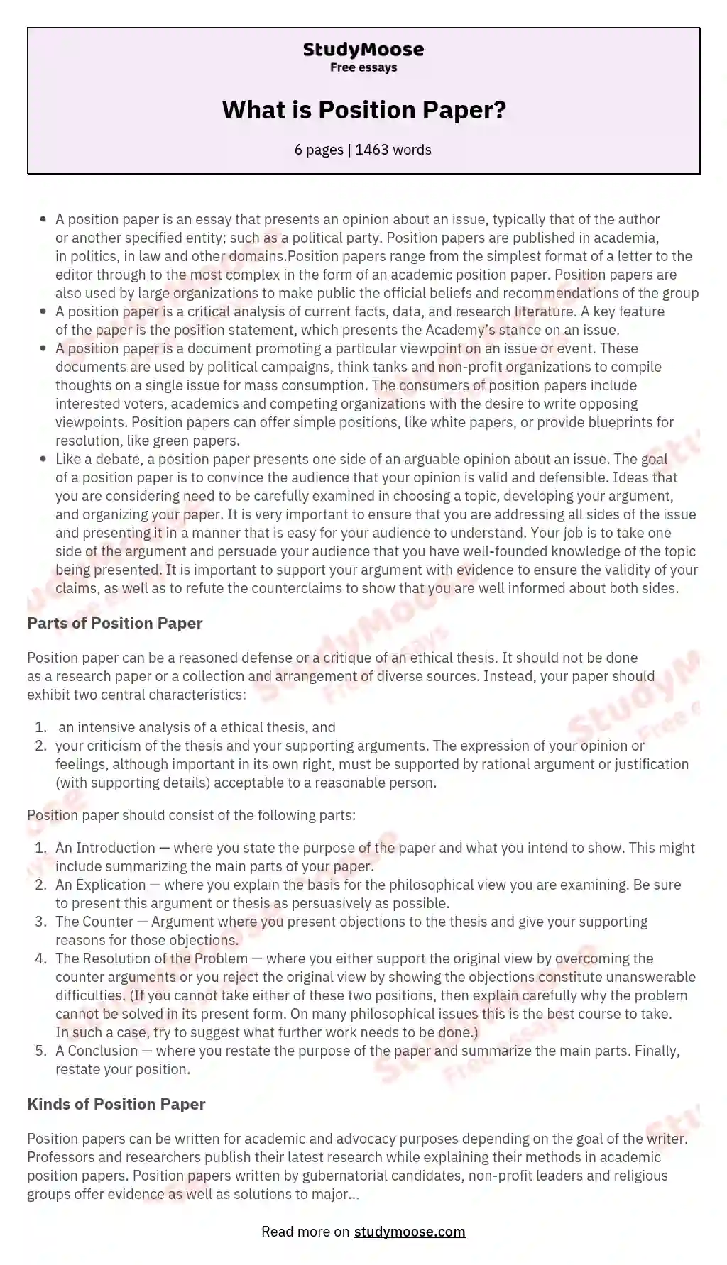 What is Position Paper? essay