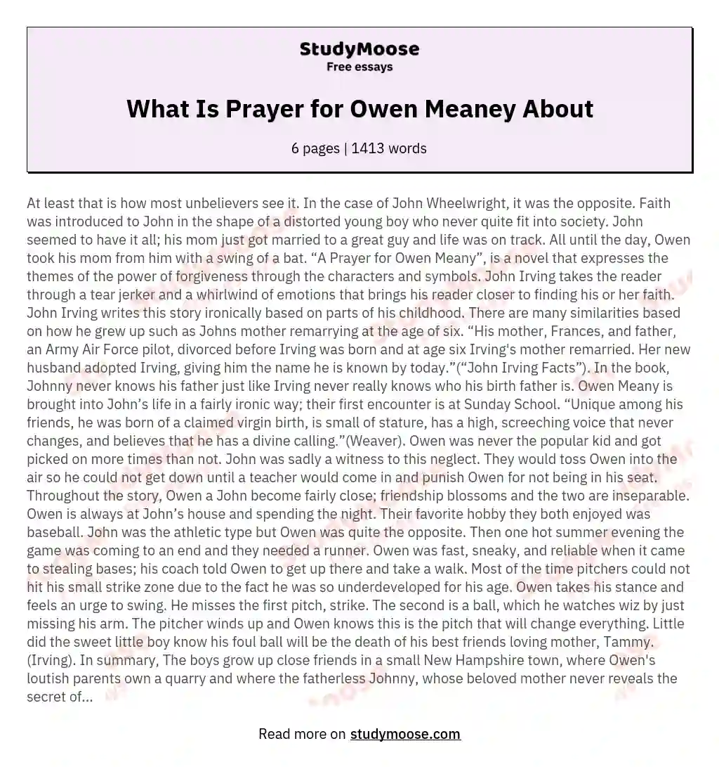 What Is Prayer for Owen Meaney About essay