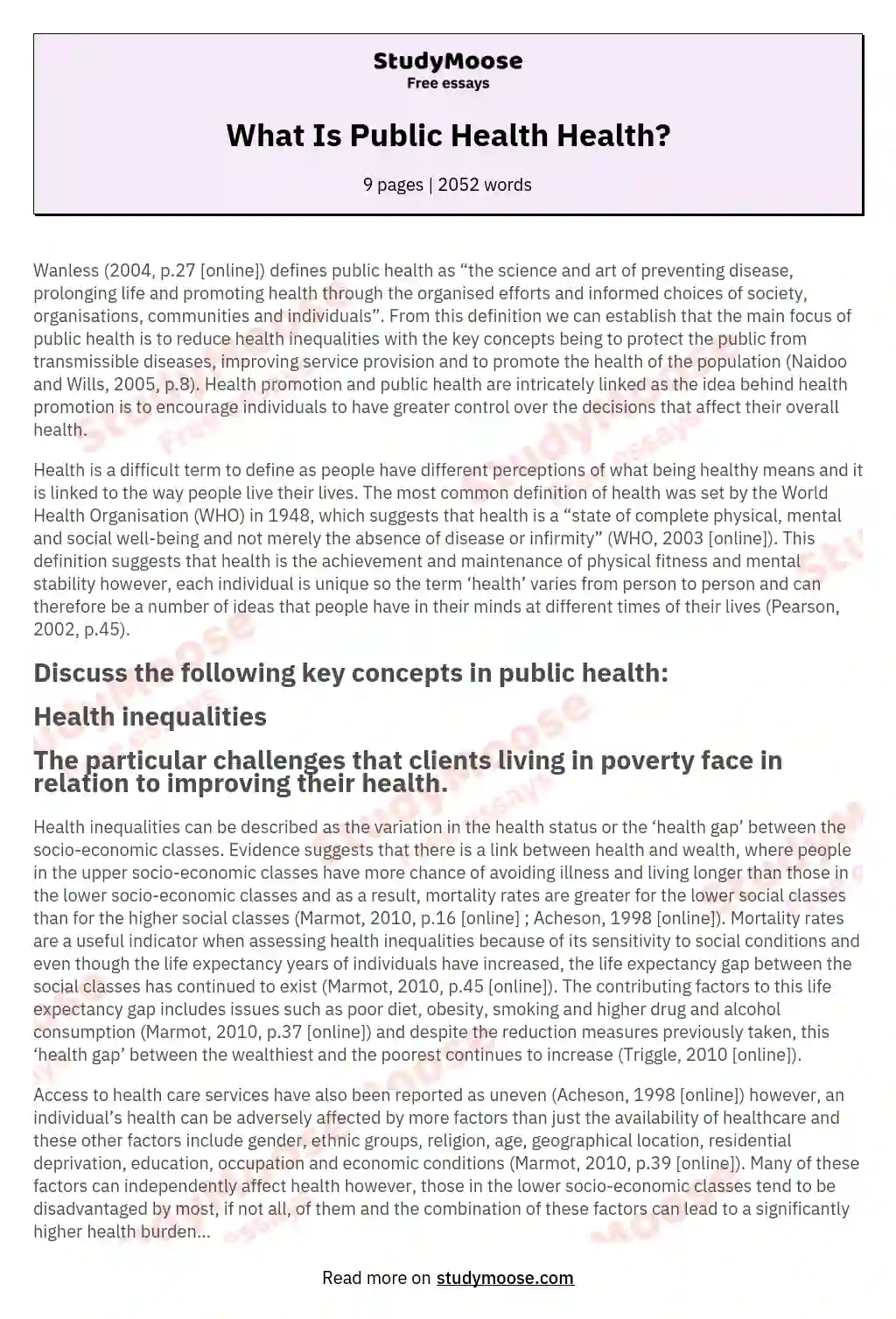 Health Inequalities and Poverty: A Public Health Perspective essay