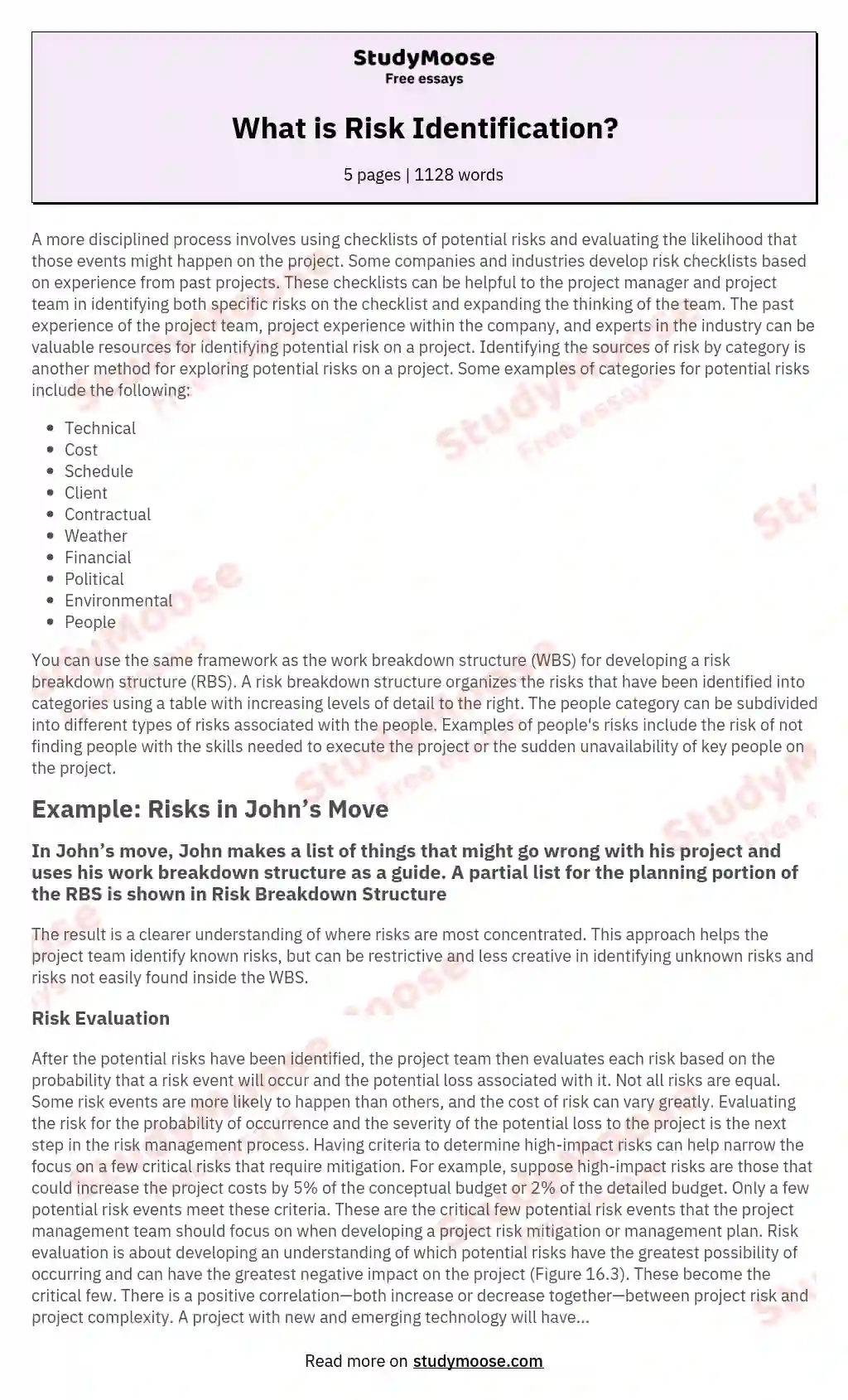 What is Risk Identification? essay