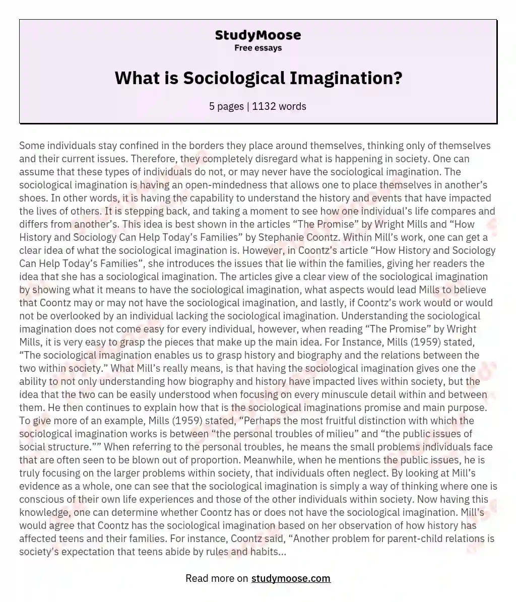 What Is Sociological Imagination Free Essay Example