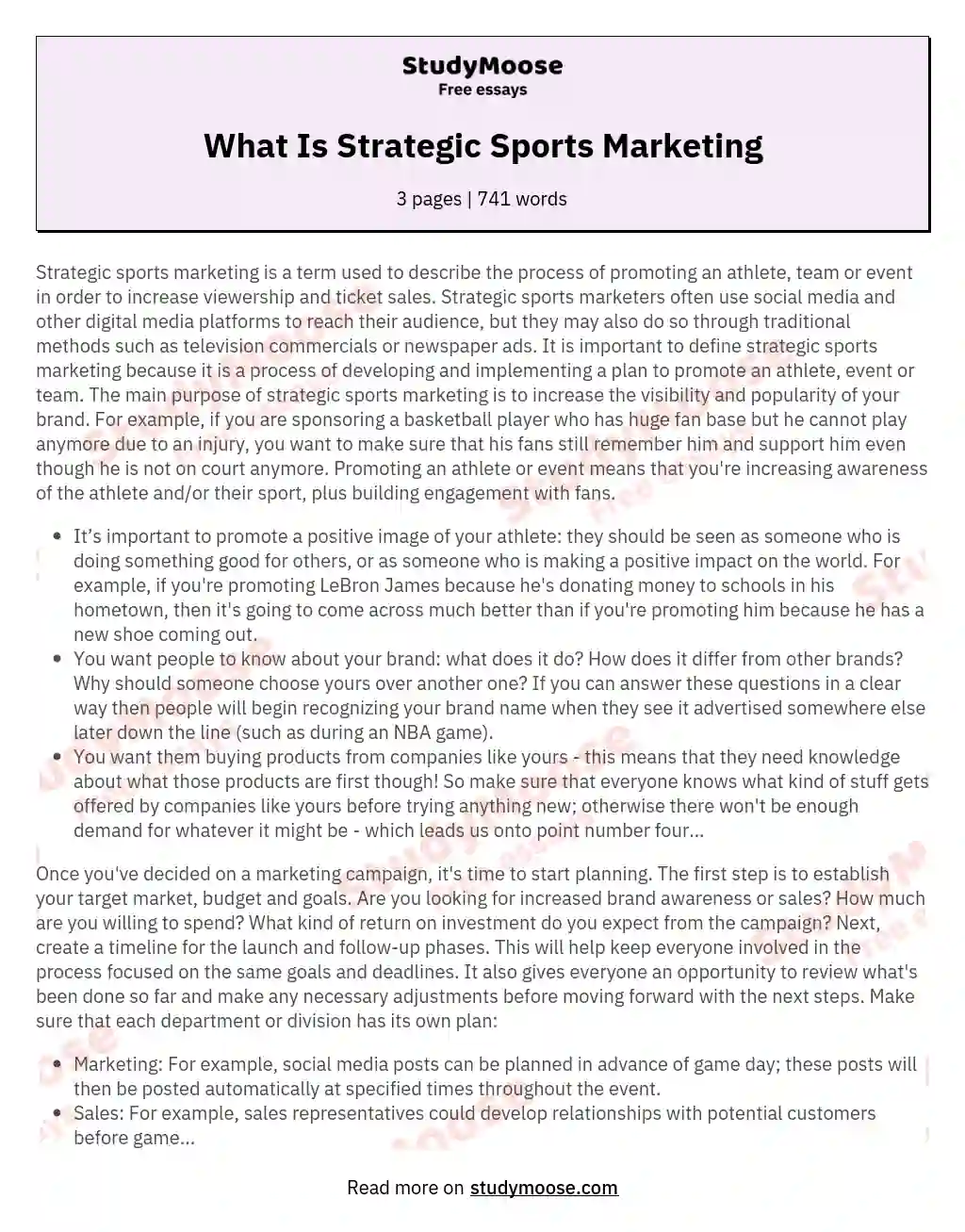 What Is Strategic Sports Marketing essay