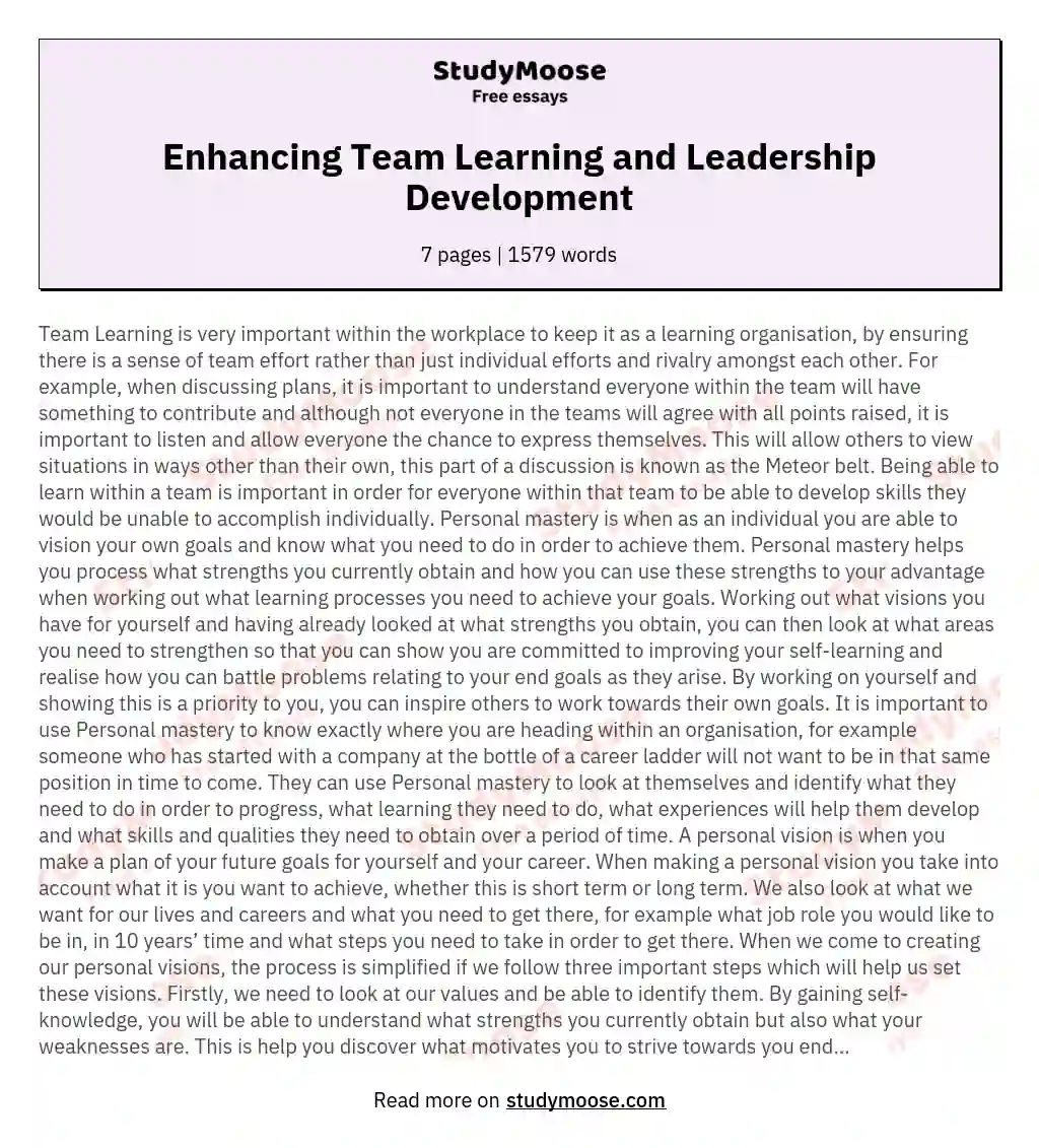 Enhancing Team Learning and Leadership Development essay