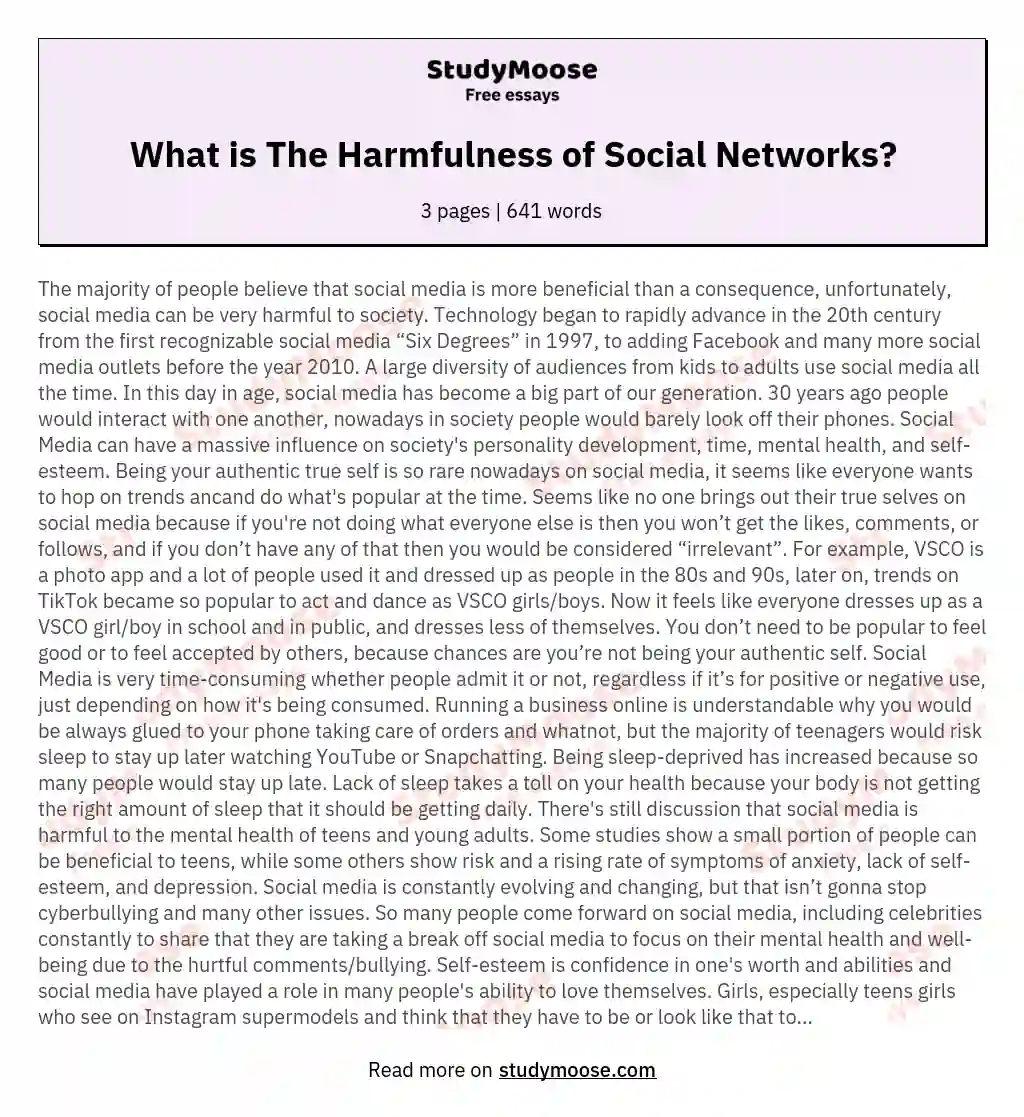 What is The Harmfulness of Social Networks? essay