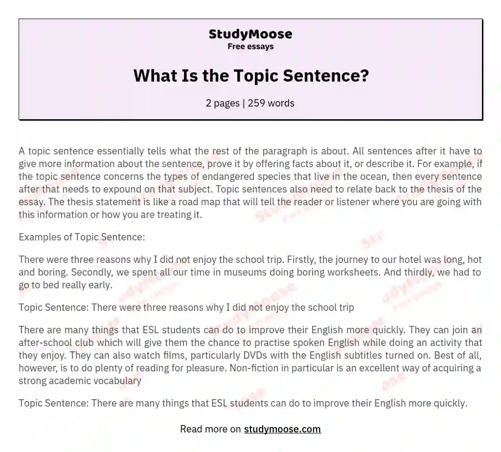 What Is the Topic Sentence? essay