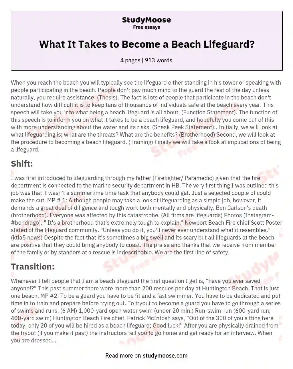 What It Takes to Become a Beach Lifeguard? essay