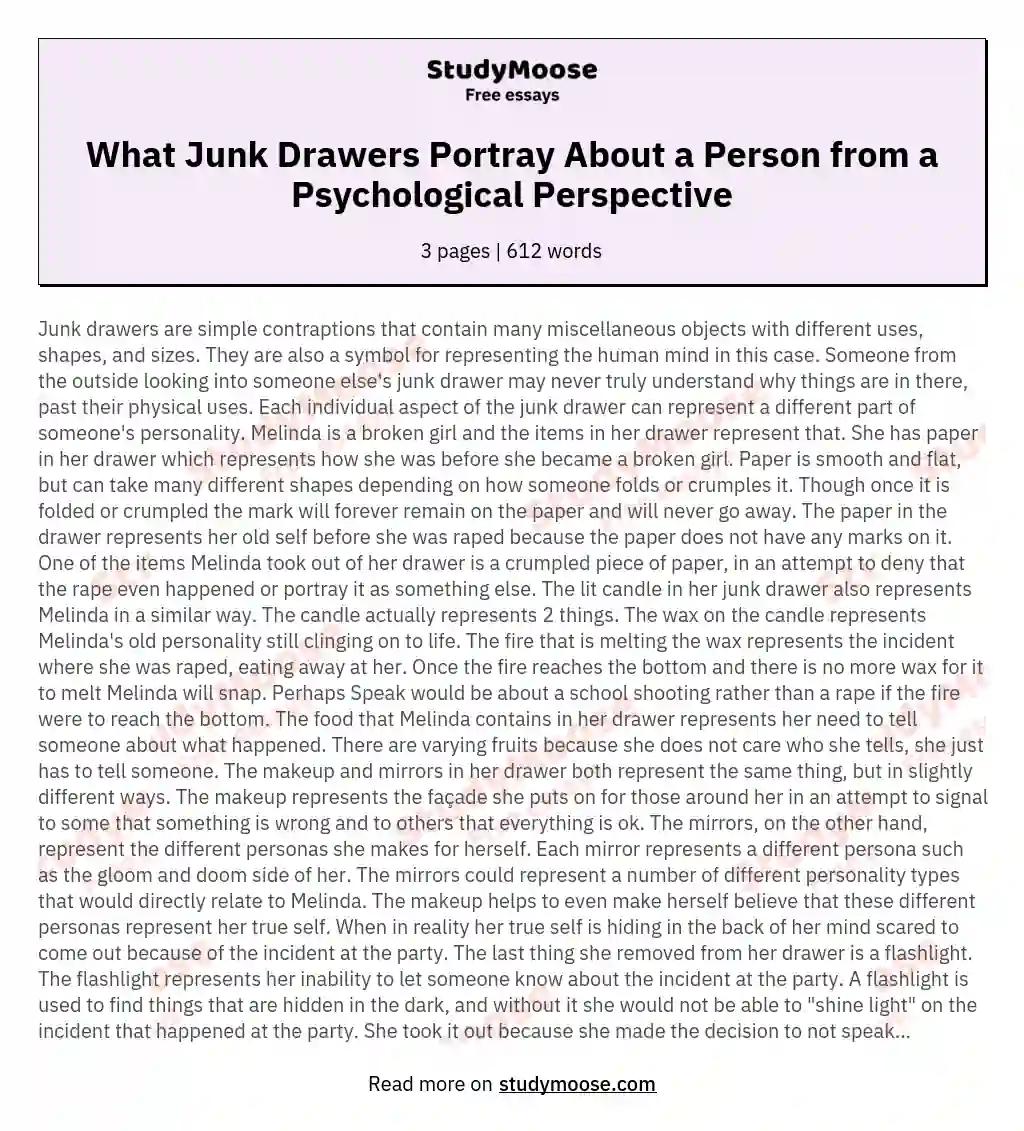 What Junk Drawers Portray About a Person from a Psychological Perspective essay