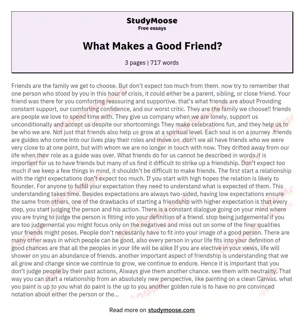 What Makes a Good Friend? essay