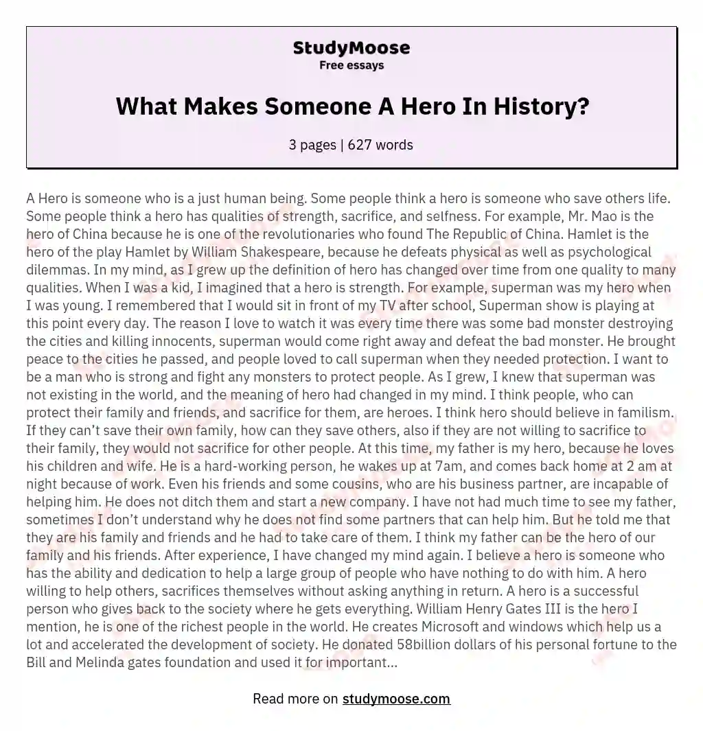 What Makes Someone A Hero In History? essay