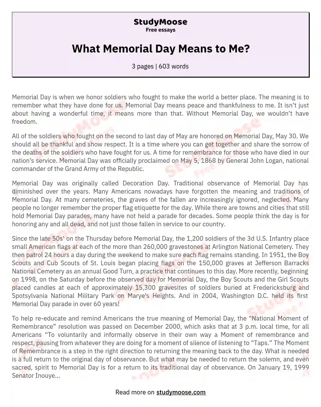 What Memorial Day Means to Me? essay