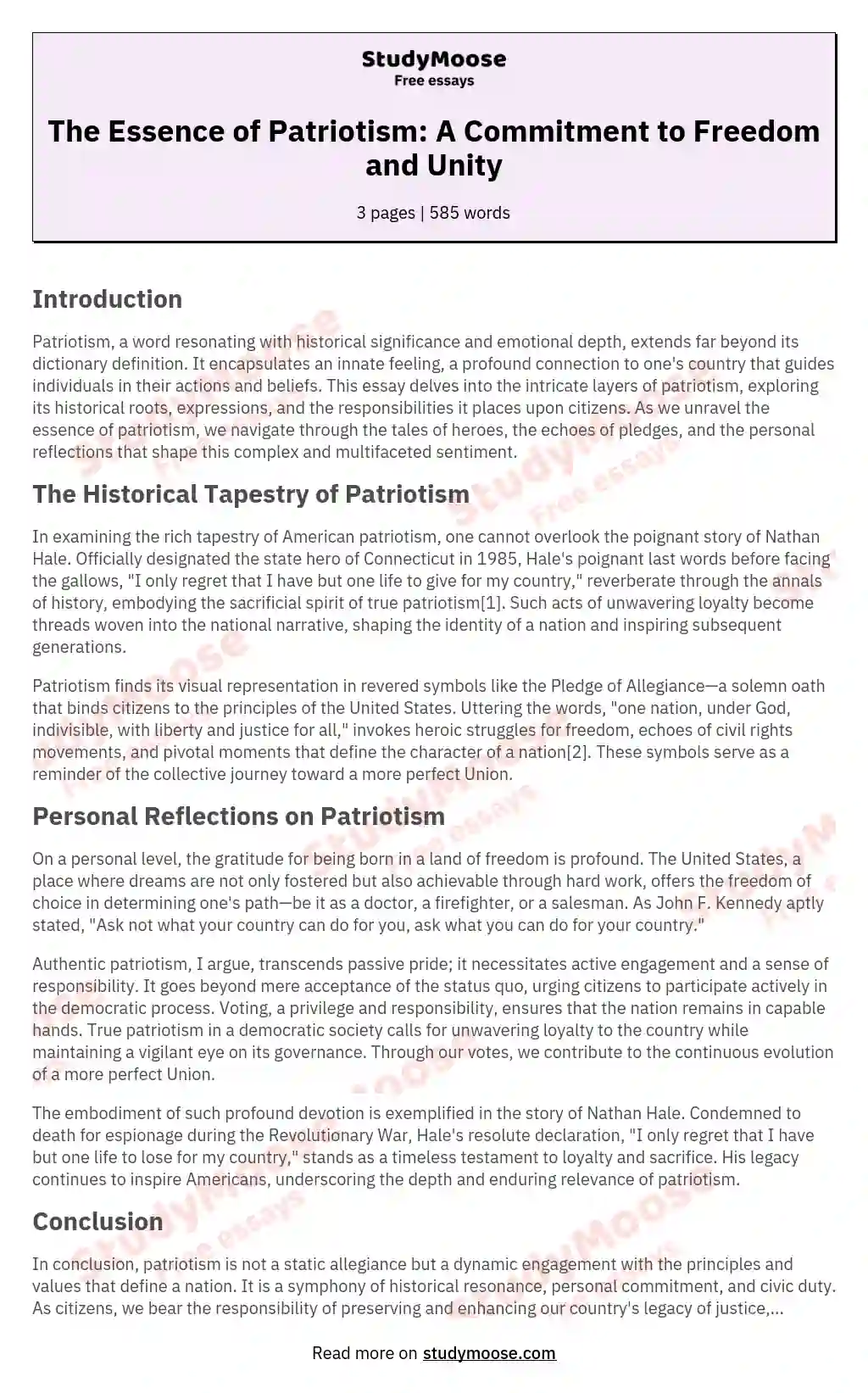 essay on patriotism with outline