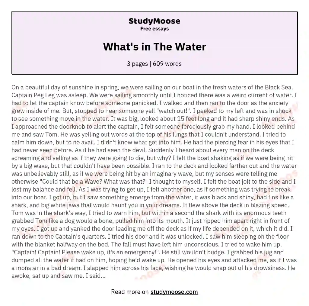 What's in The Water essay