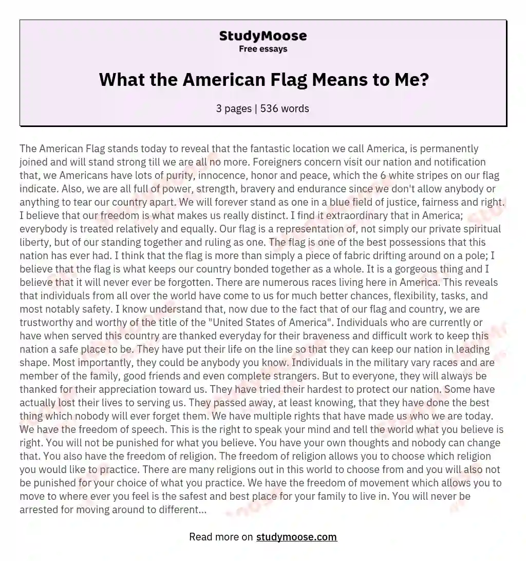 What the American Flag Means to Me? essay