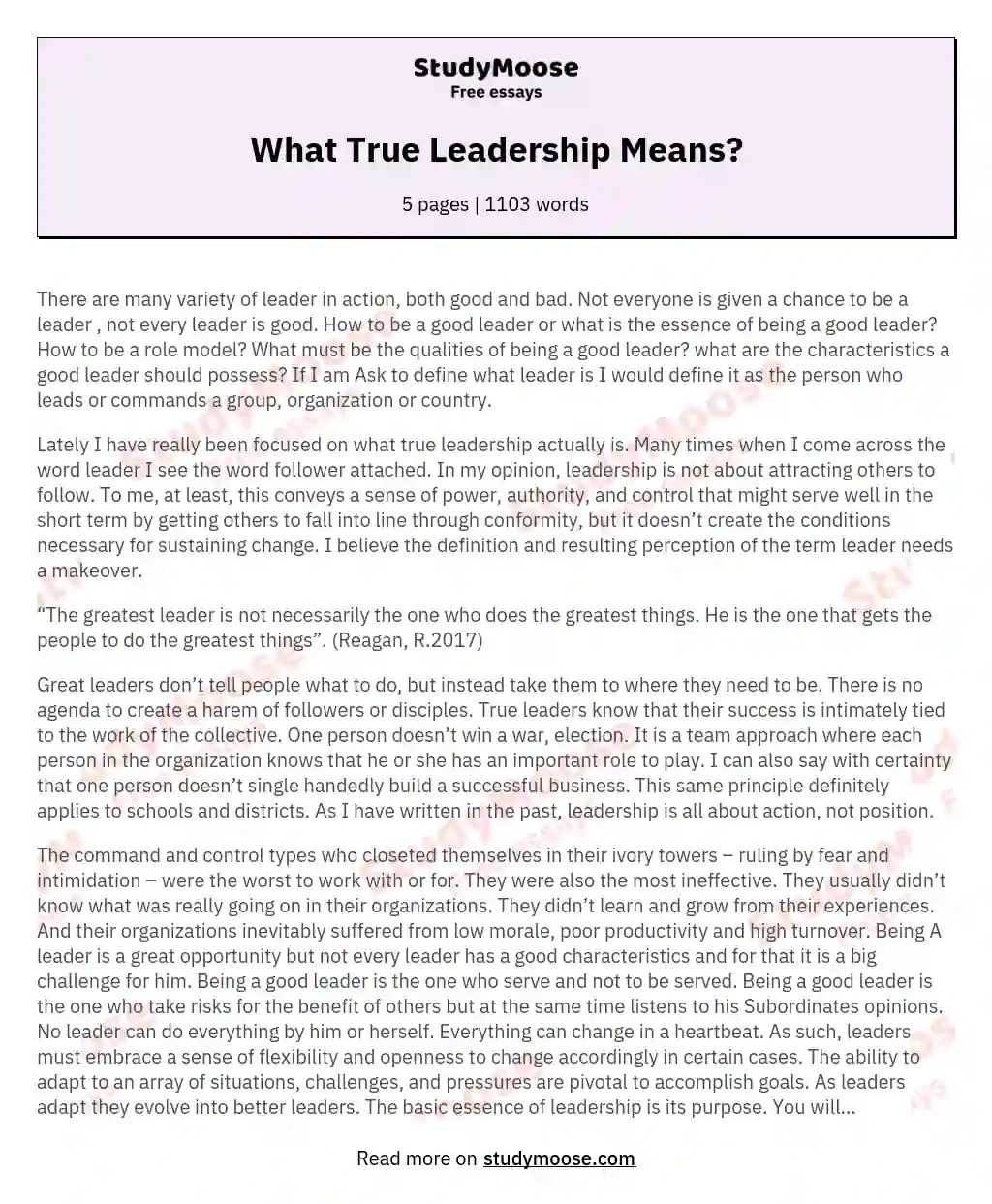 What True Leadership Means? essay
