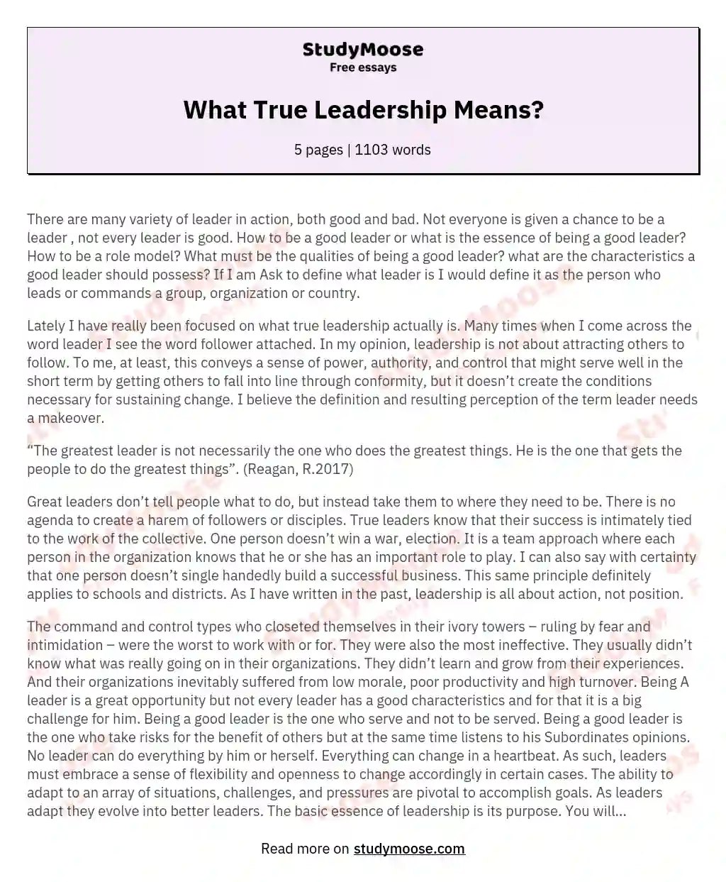 are you a leader essay