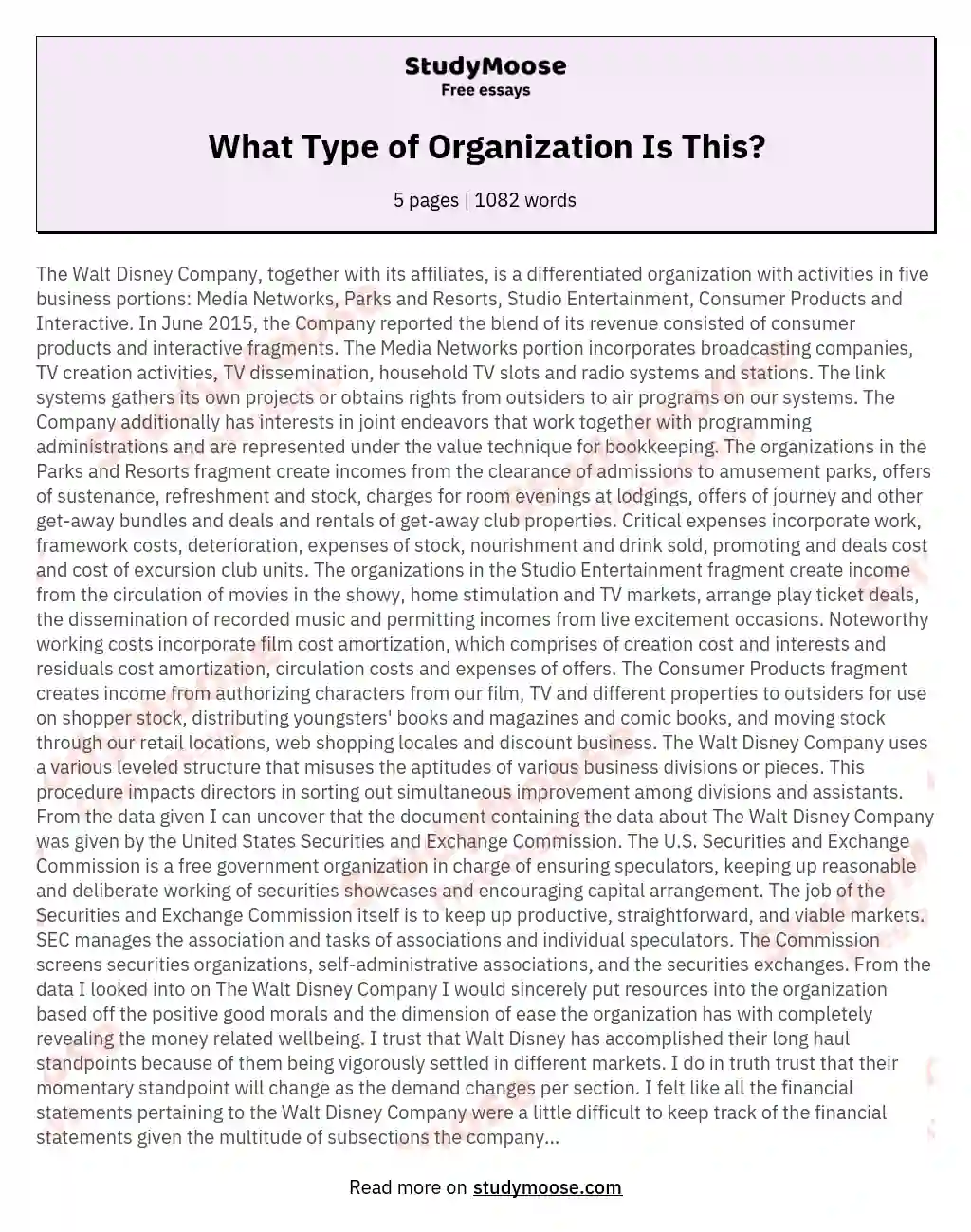What Type of Organization Is This? essay