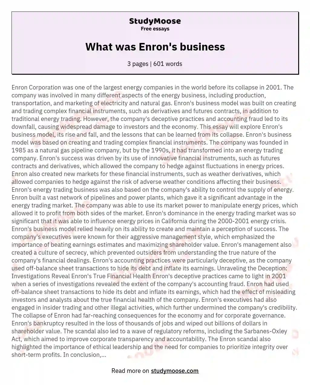 What was Enron's business essay