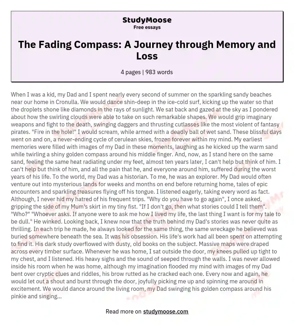 The Fading Compass: A Journey through Memory and Loss essay