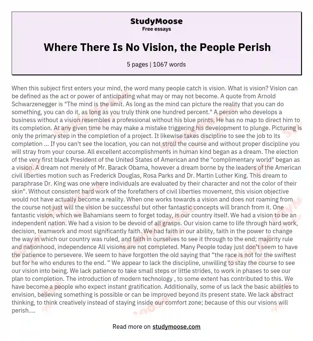 Where There Is No Vision, the People Perish essay