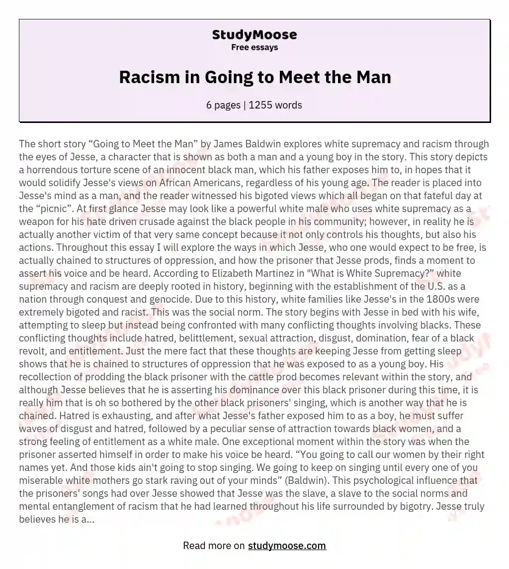 Racism in Going to Meet the Man essay