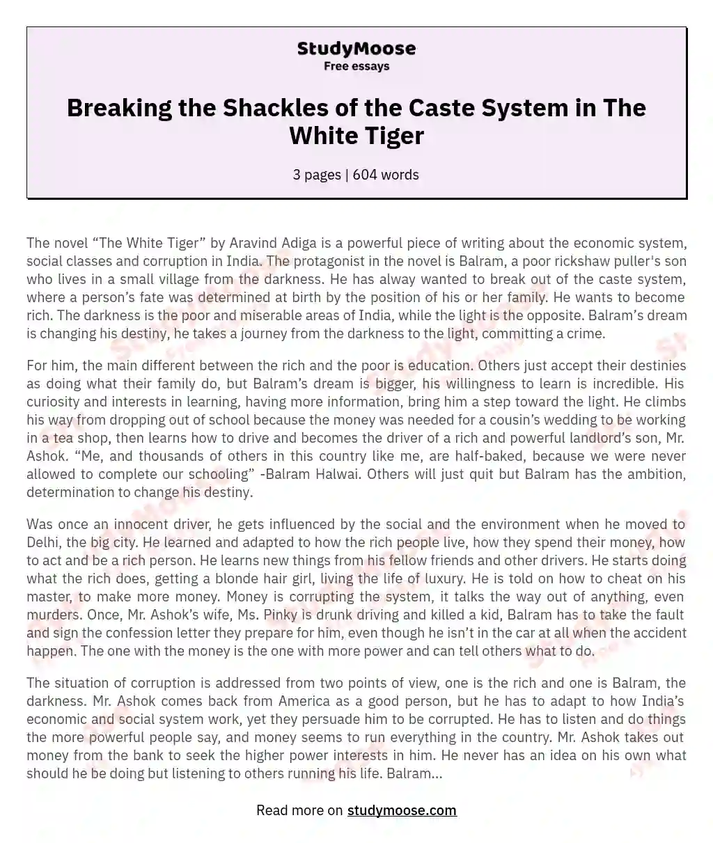 Breaking the Shackles of the Caste System in The White Tiger essay