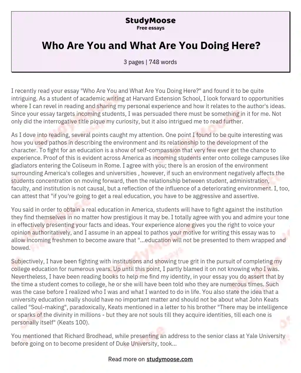 Who Are You and What Are You Doing Here? essay