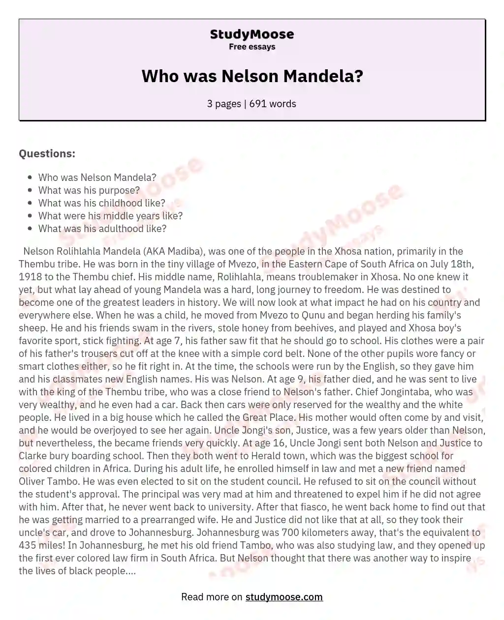 Who was Nelson Mandela? essay