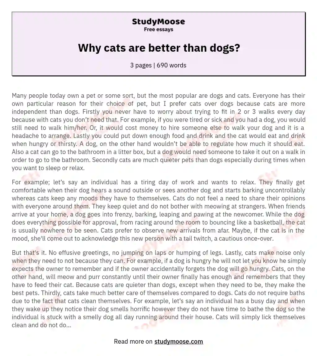 Why cats are better than dogs? essay