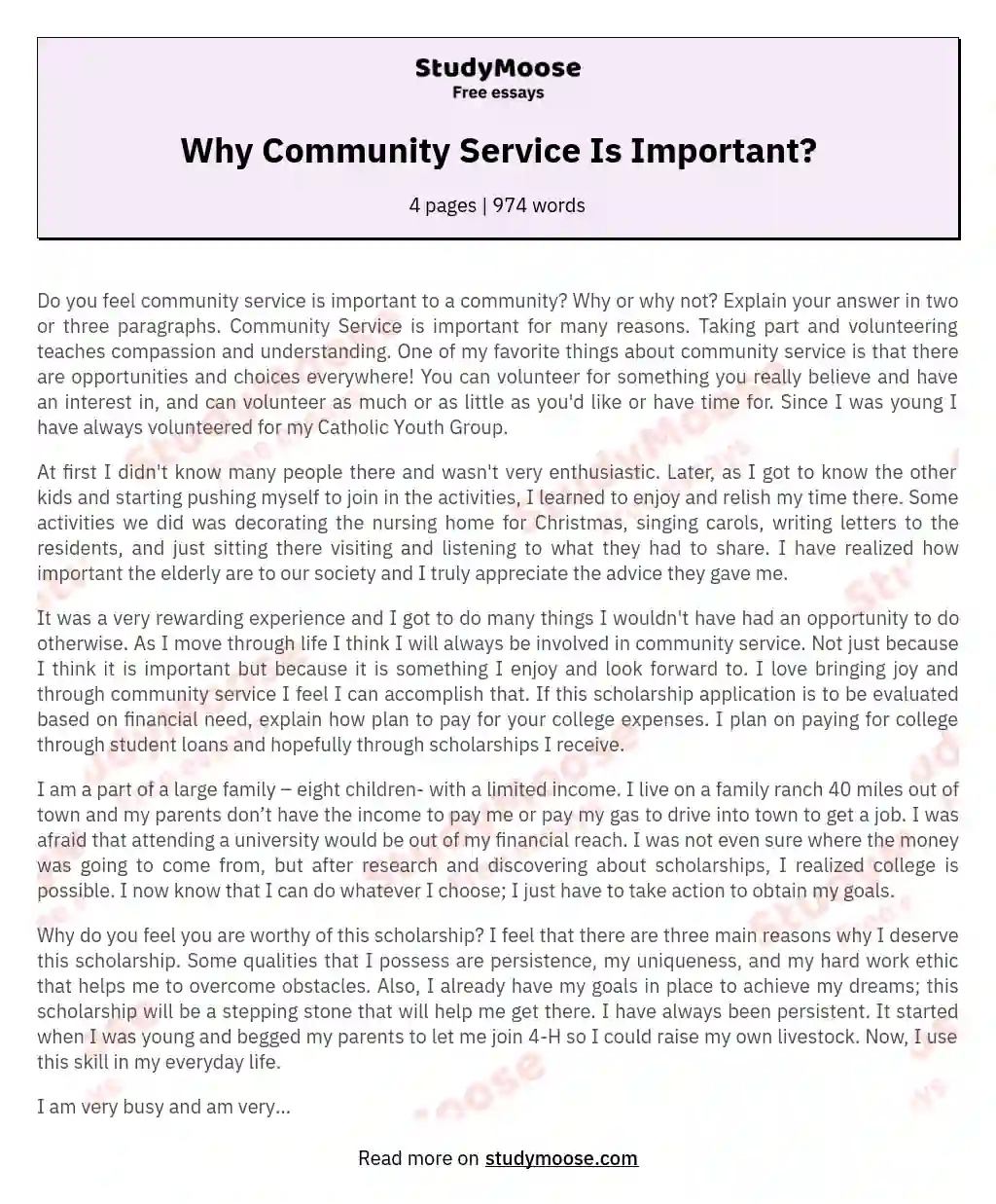 Why Community Service Is Important? essay