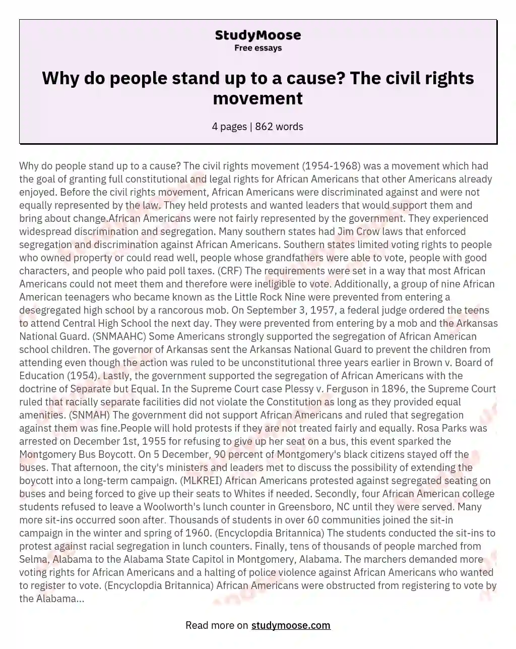 Why do people stand up to a cause? The civil rights movement essay