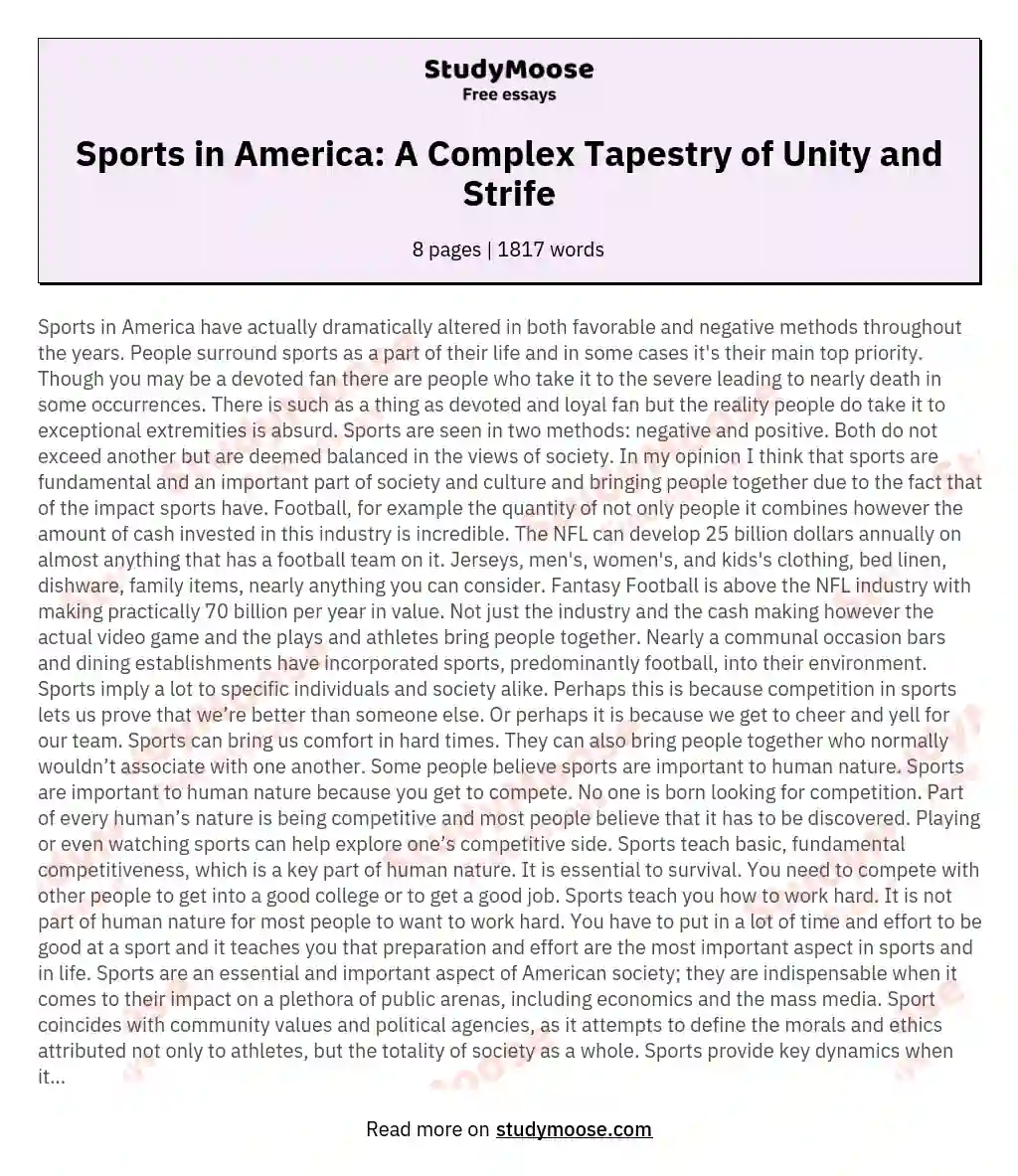 Sports in America: A Complex Tapestry of Unity and Strife essay