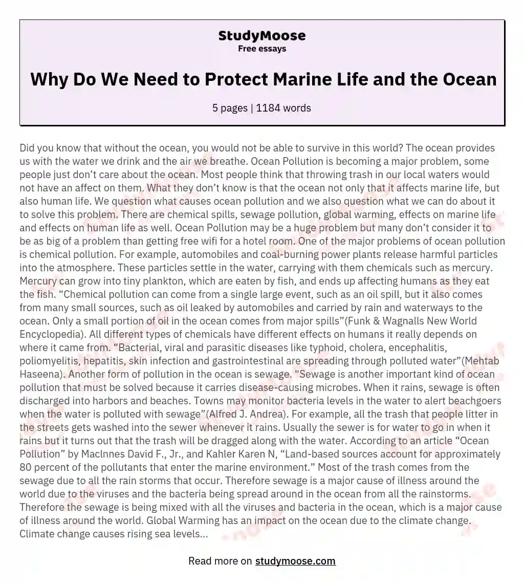 Why Do We Need to Protect Marine Life and the Ocean essay