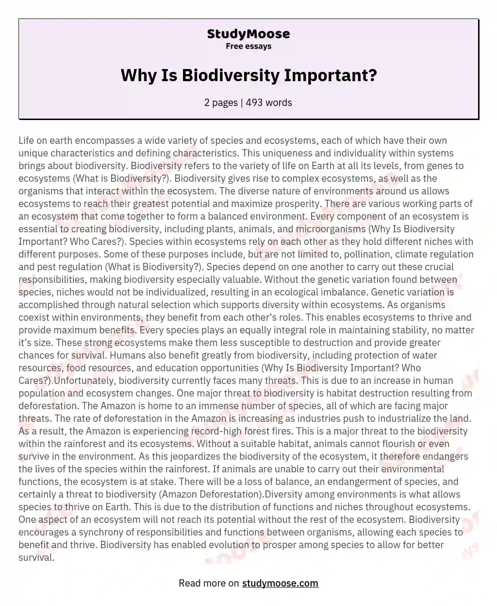 Why Is Biodiversity Important? essay