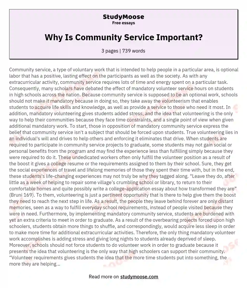 write a comprehensive report essay on community service