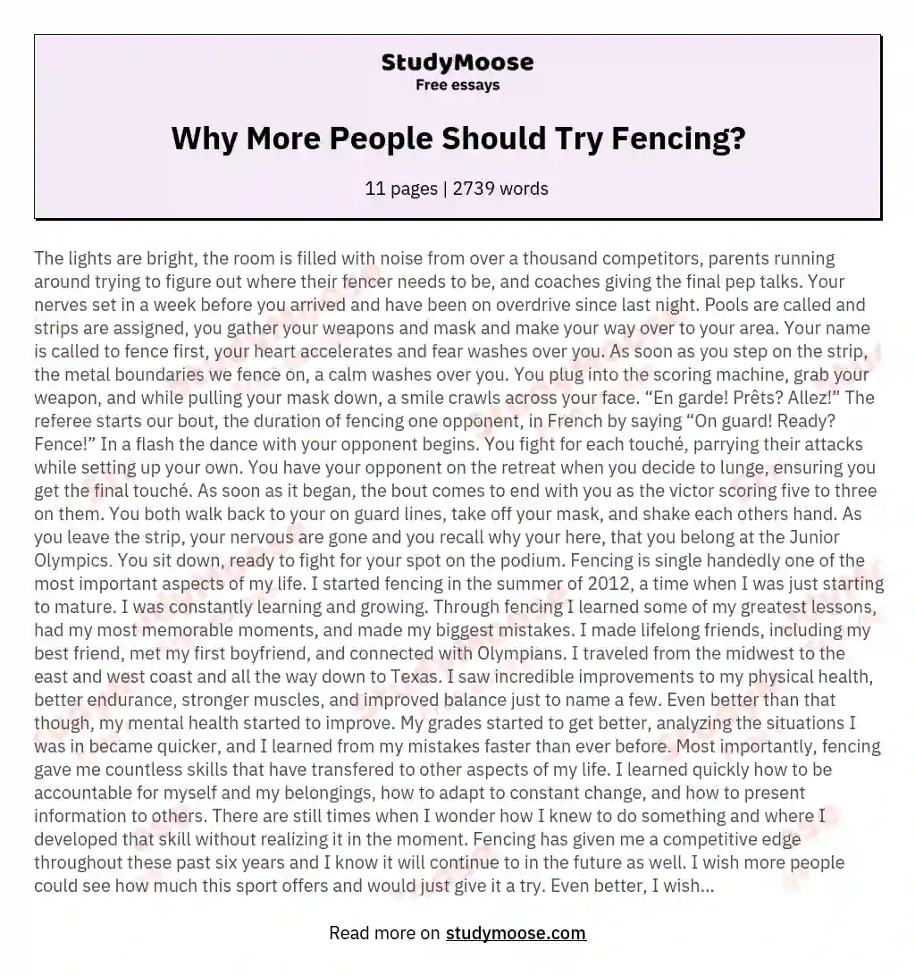 Why More People Should Try Fencing? essay