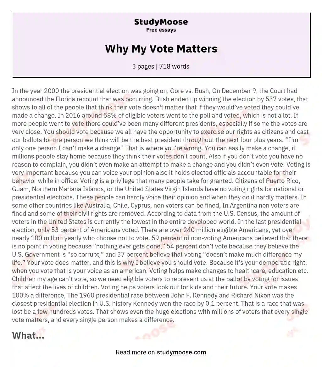 Why My Vote Matters essay
