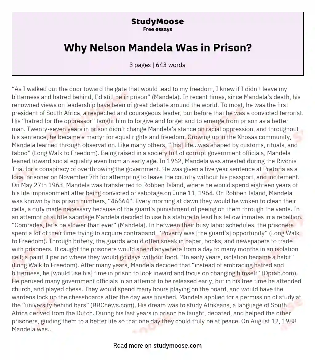 Why Nelson Mandela Was in Prison? essay