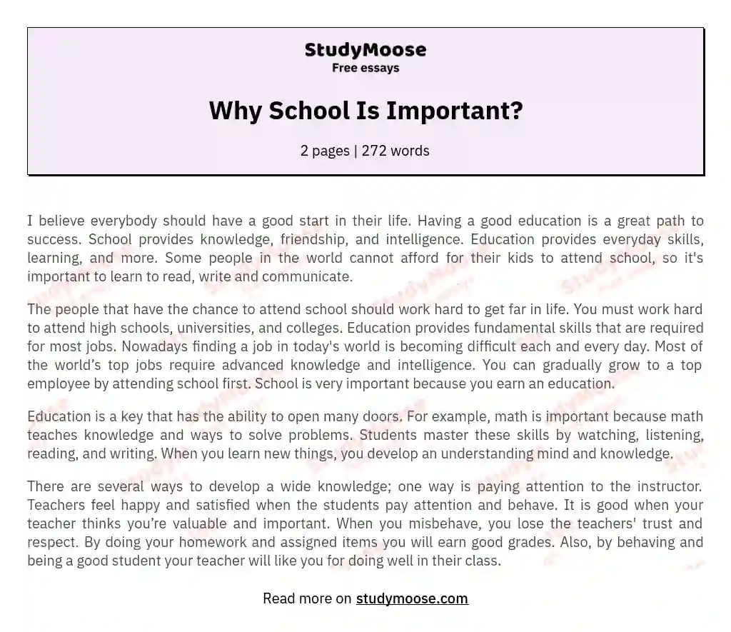 Why School Is Important? essay