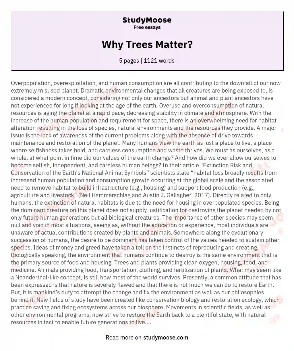 Why Trees Matter? essay