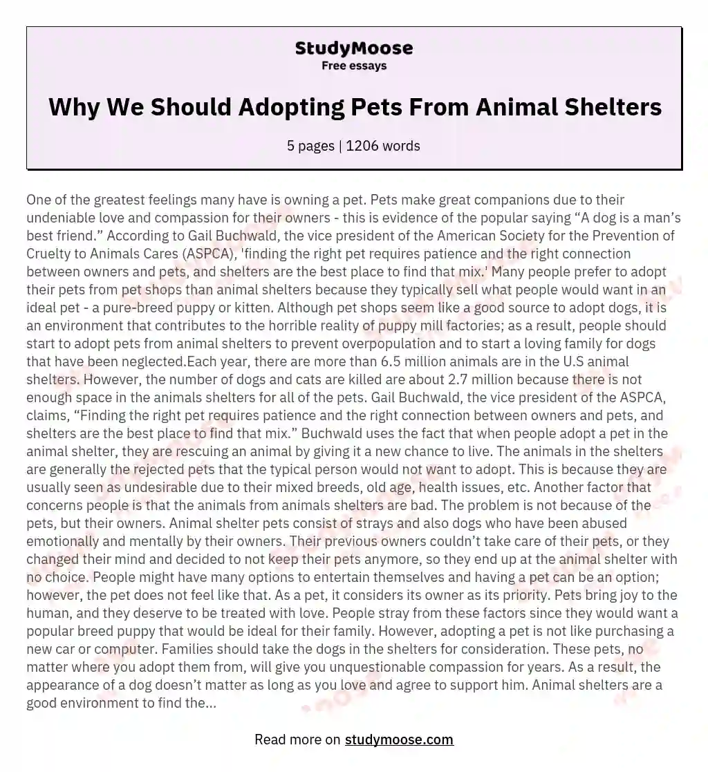 Why We Should Adopting Pets From Animal Shelters essay