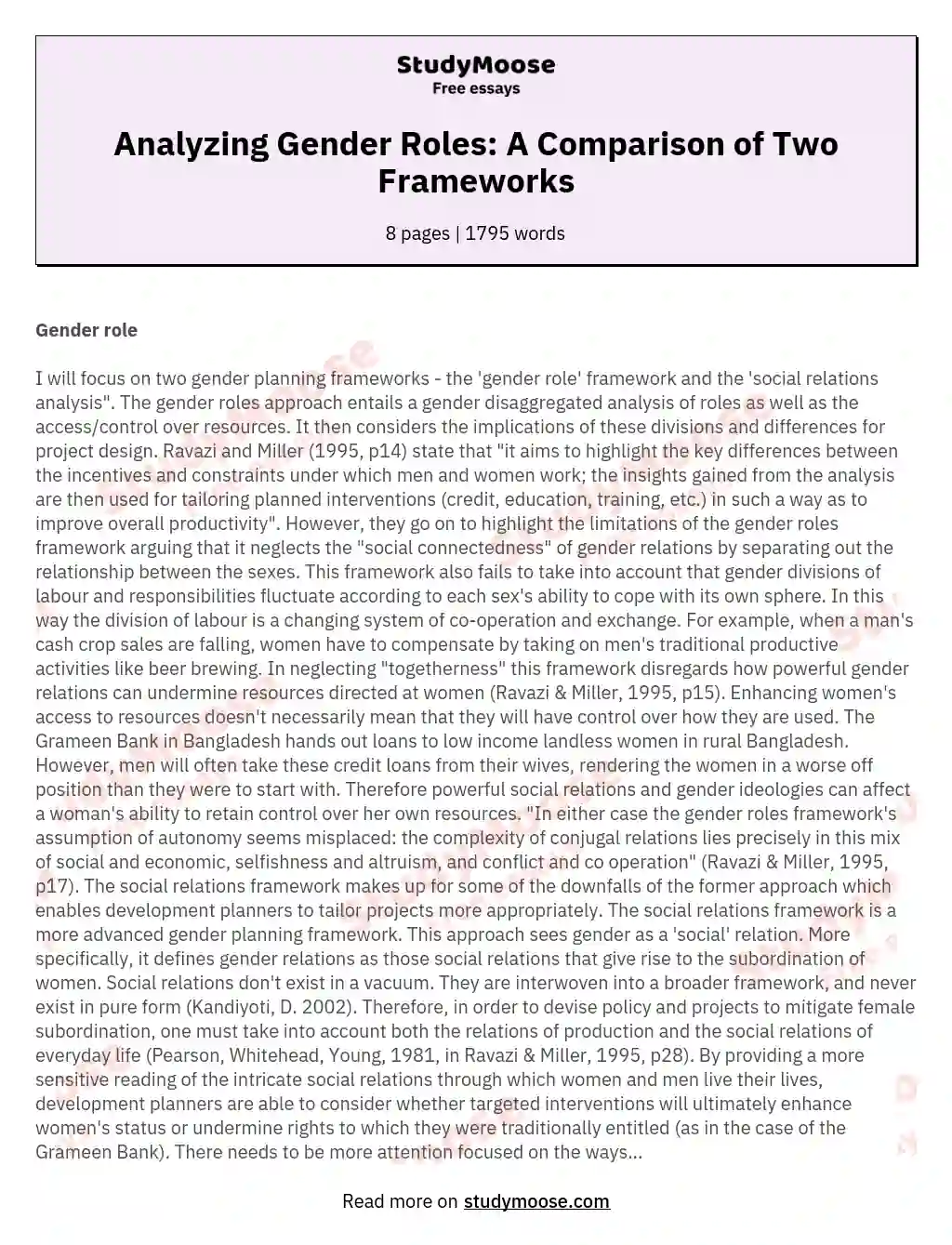 Analyzing Gender Roles: A Comparison of Two Frameworks essay
