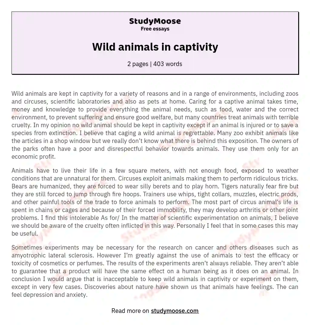 how to write an essay about animals in captivity