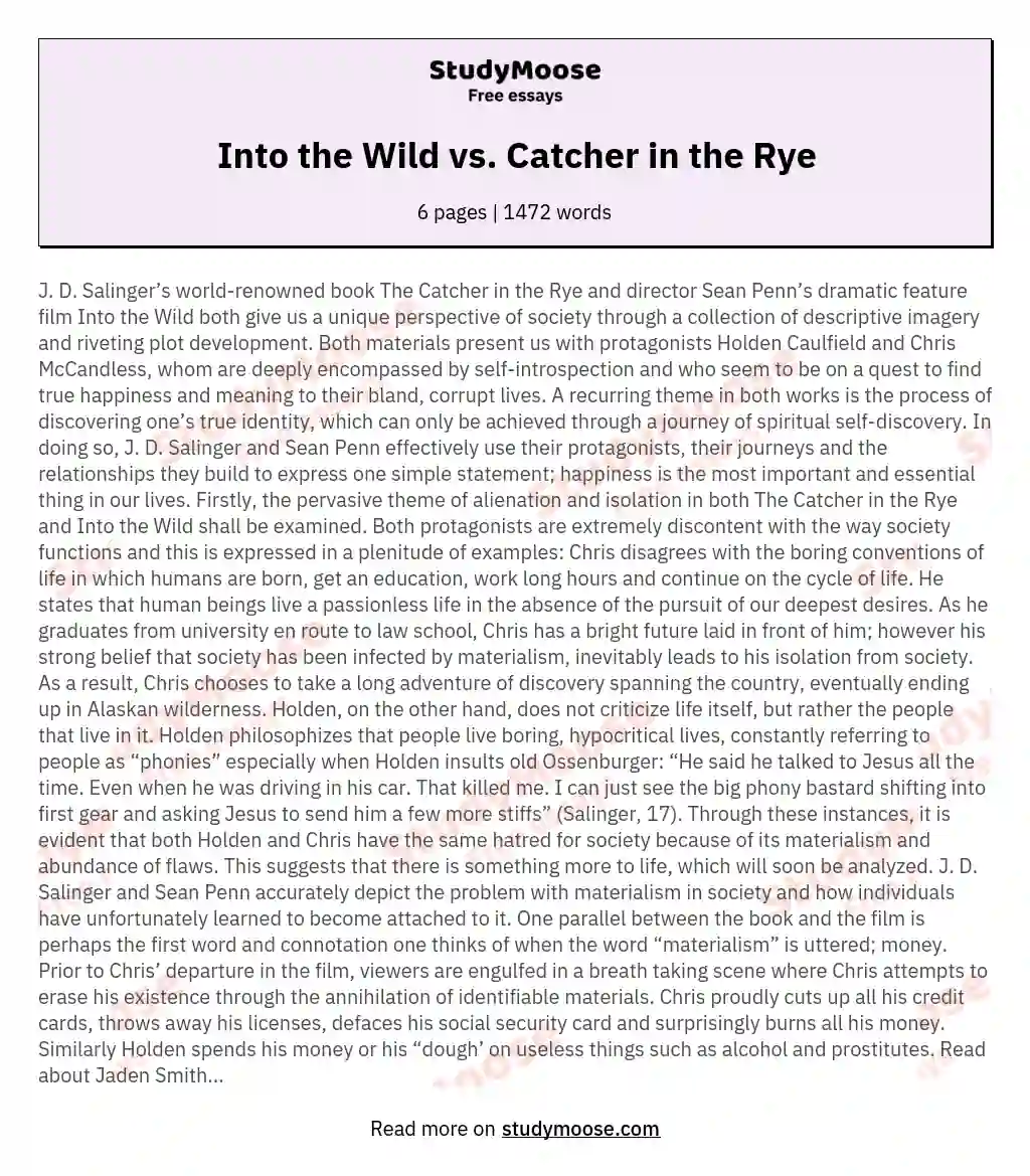 Into the Wild vs. Catcher in the Rye essay