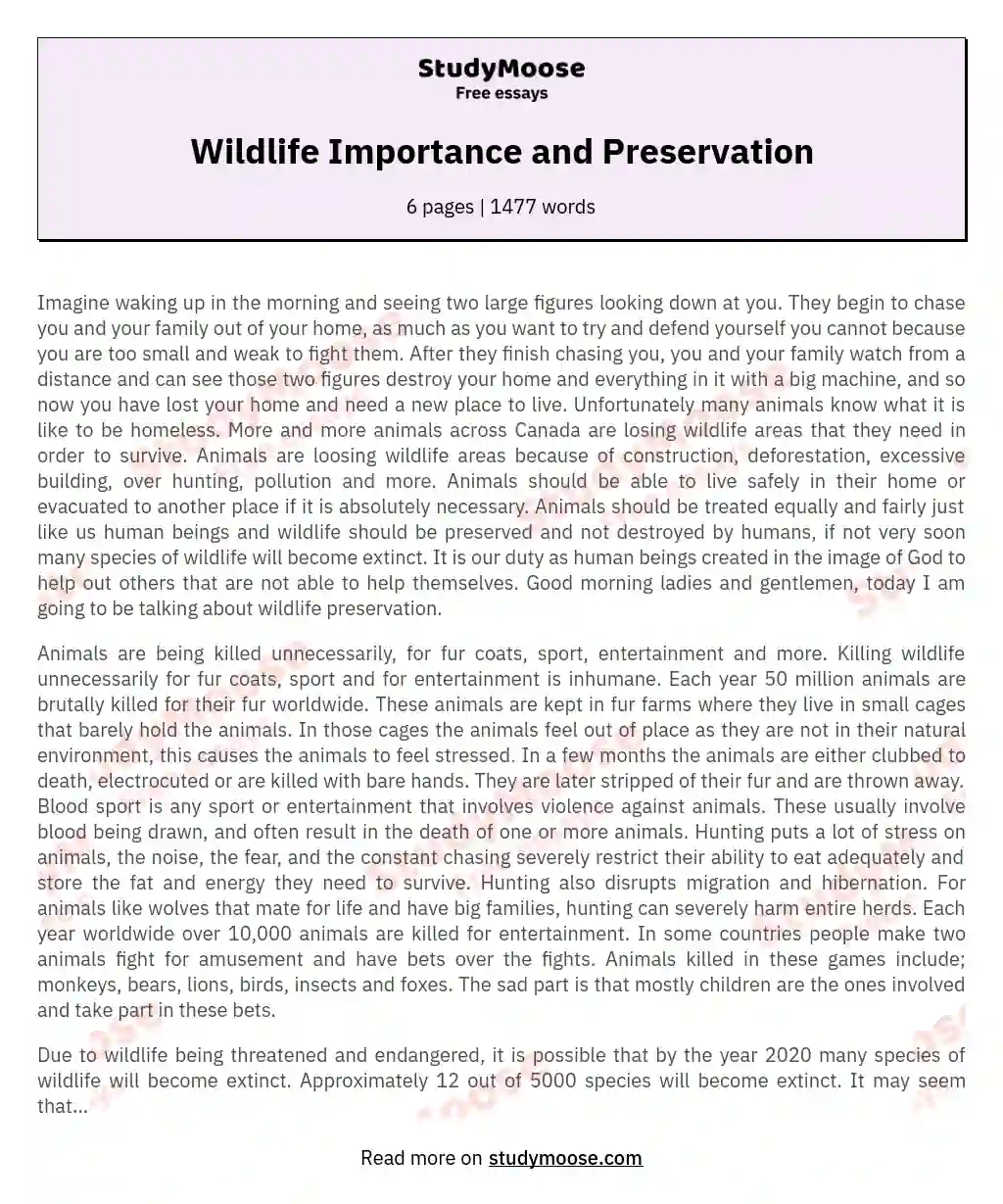 Wildlife Importance and Preservation Free Essay Example