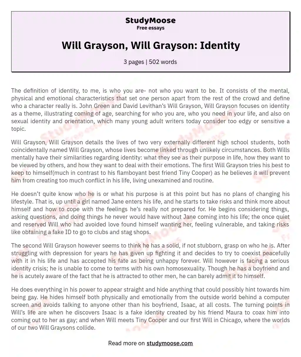 Will Grayson, Will Grayson: Identity essay
