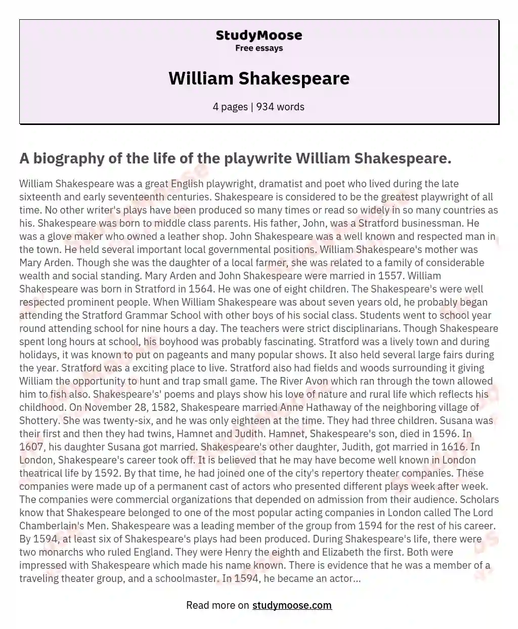 essay shakespeare