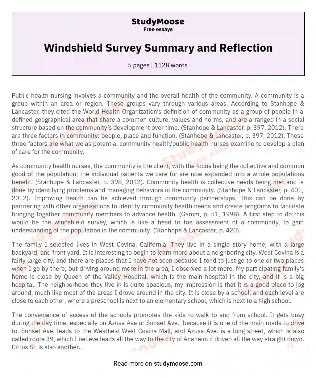 Windshield Survey Summary and Reflection essay